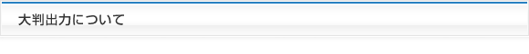 大判出力について