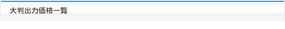 大判出力価格一覧